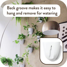 Load image into Gallery viewer, Lightweight Resin Indoor Wall Planters - 6 Self-Watering Pots for Easy Care