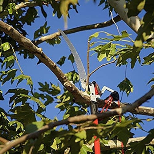 DualLink 10ft Extendable Tree Saw & Pruner - Lightweight & Powerful Red Tool