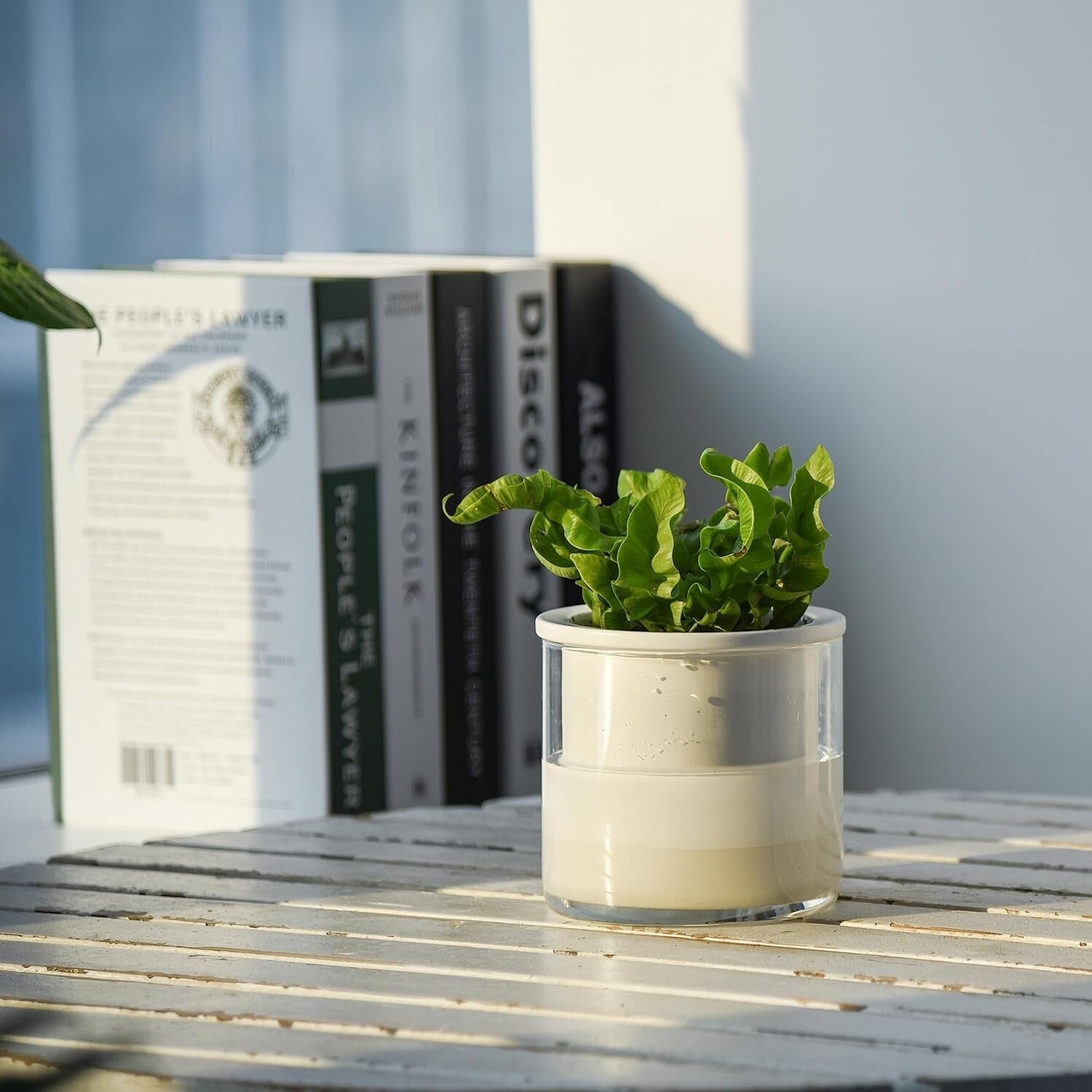 Elegant 4" Modern Terracotta Pots with Glass | Indoor Self-Watering Planters