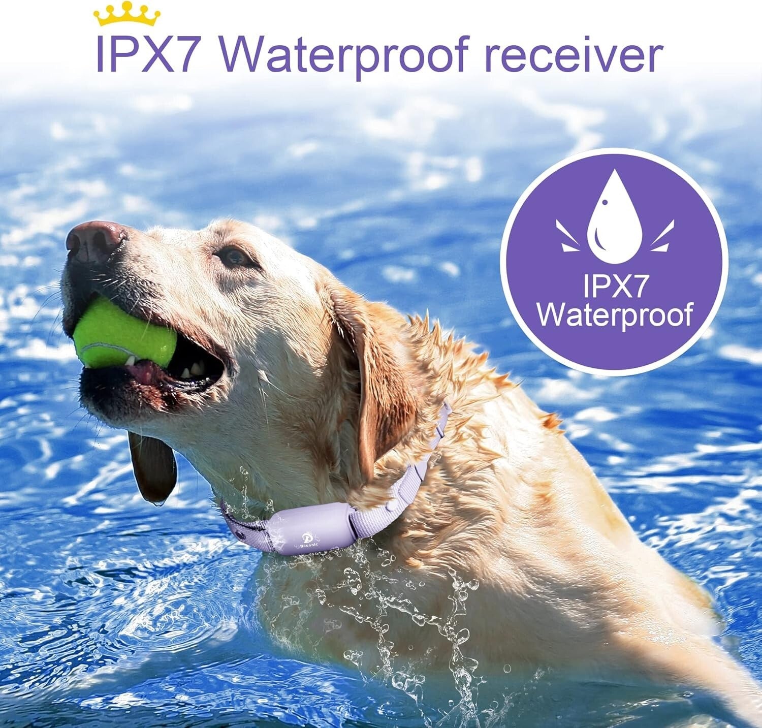 Dynamic 2-Dog Training Collar Set - Waterproof, Lightweight, and Effective