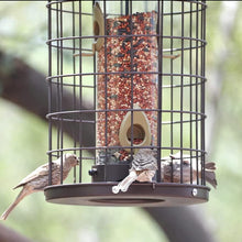 Load image into Gallery viewer, Caged Bird Feeder with Adjustable Feeding Ports - Squirrel-Proof Design, 3 lbs
