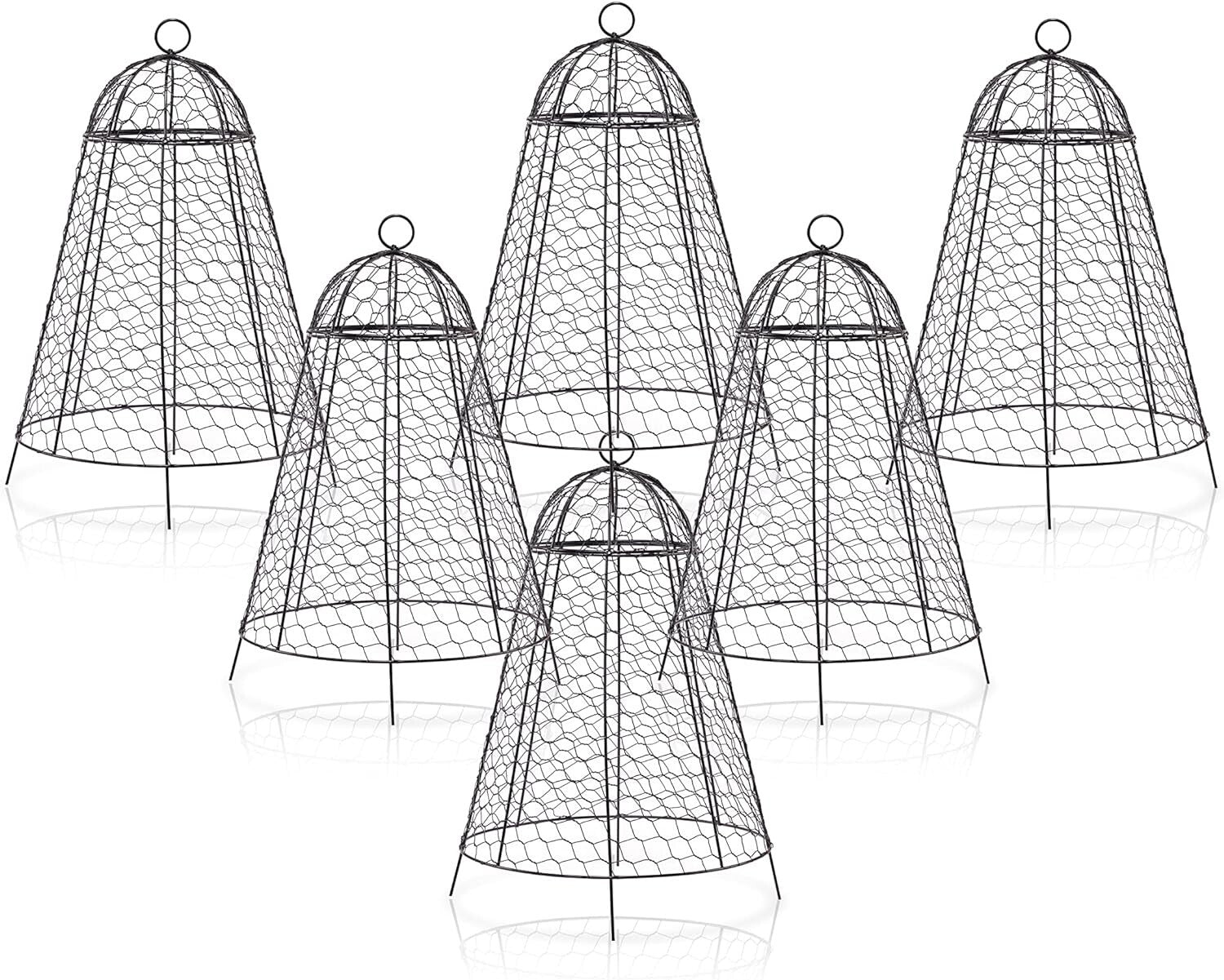 12x20 Inch Rustproof Garden Cloches - Pack of 6 for Ultimate Plant Protection