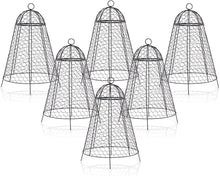 Load image into Gallery viewer, 12x20 Inch Rustproof Garden Cloches - Pack of 6 for Ultimate Plant Protection
