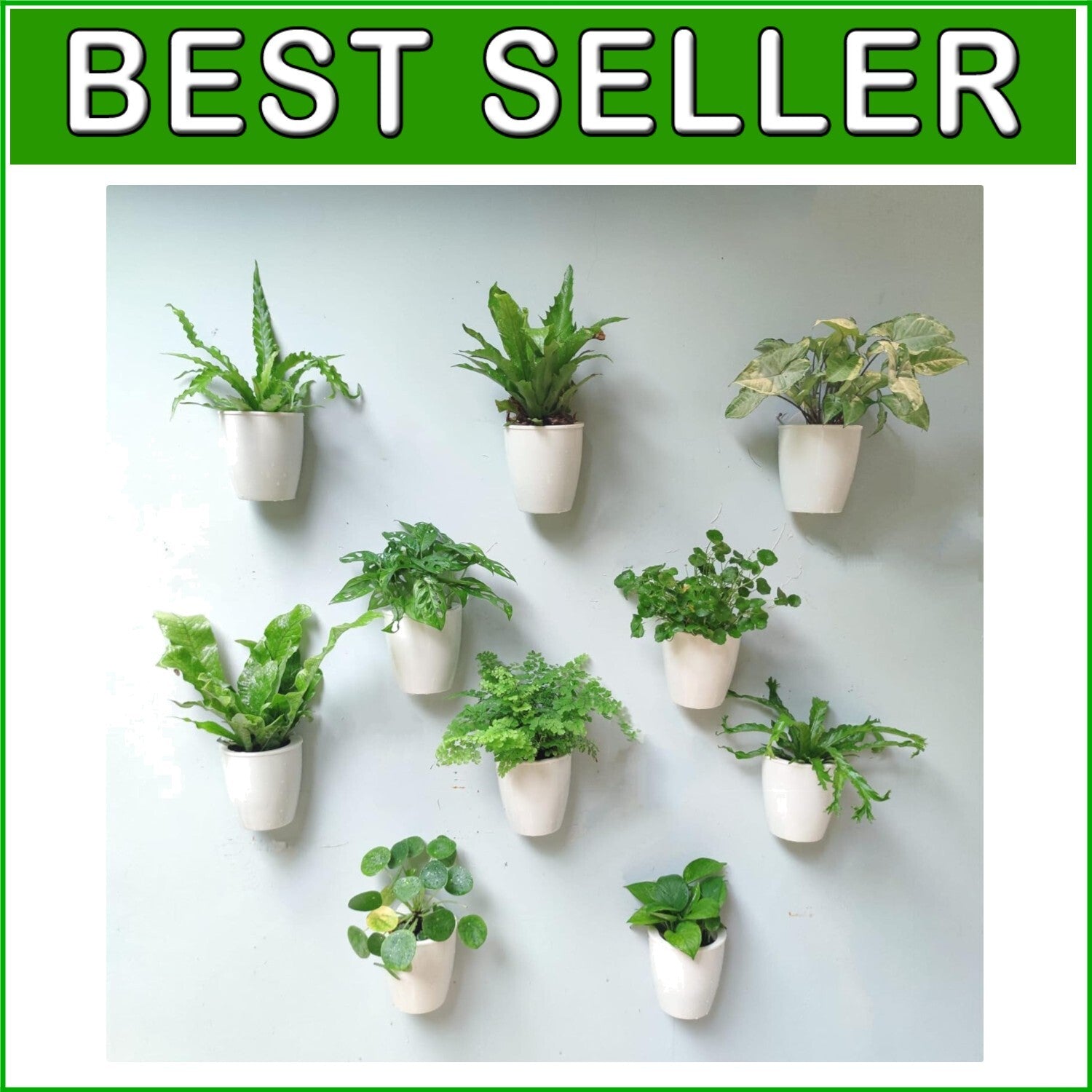 10-Pack Self-Watering Vertical Wall Planters for Stylish Indoor Herbs, 5"