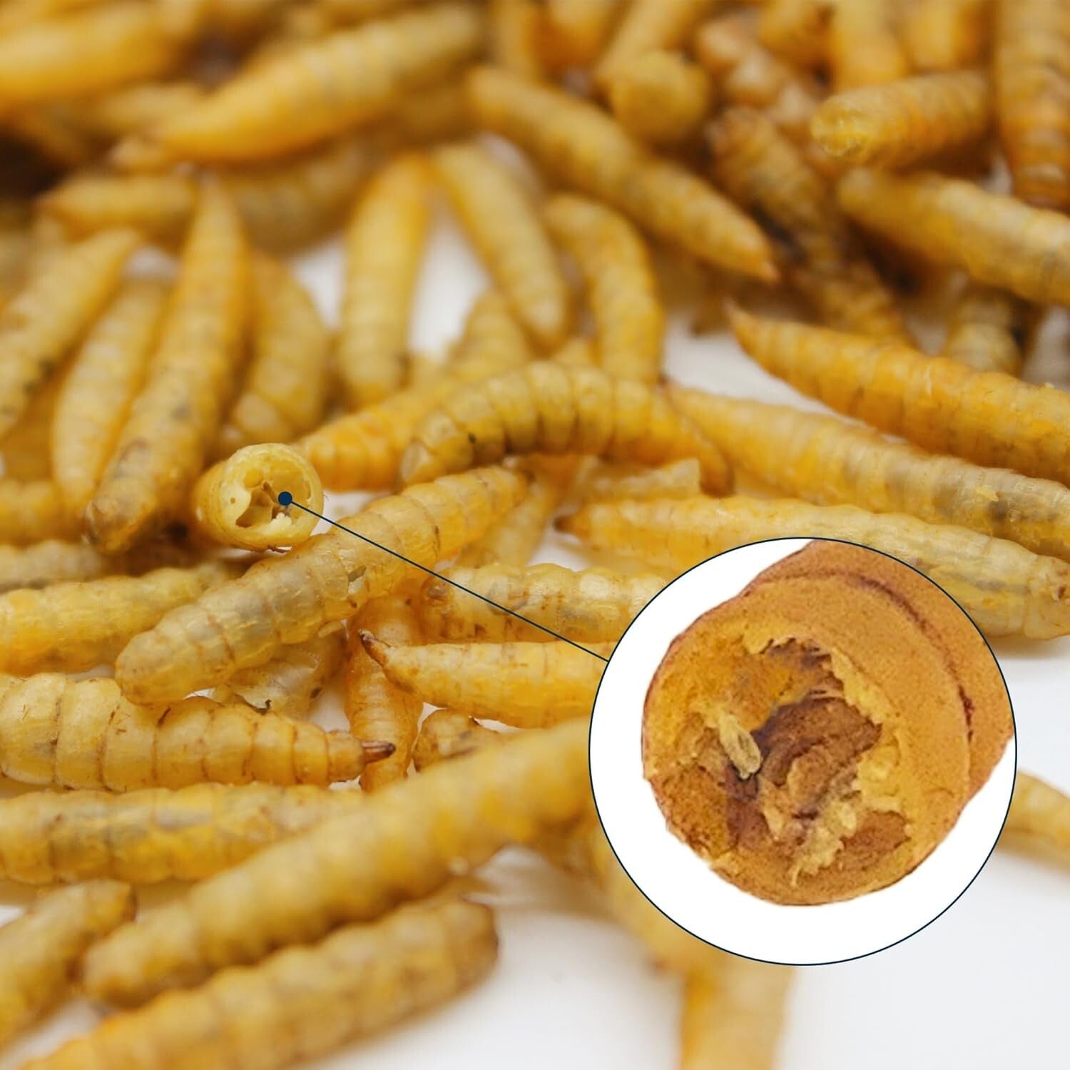 10LB Dried BSF Larvae - High-Protein, Natural Feed for Poultry, Birds & Reptiles