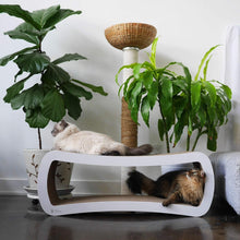 Load image into Gallery viewer, Jumbo Cat Scratcher Lounge - Stylish 39" White Cardboard Perch for Playtime