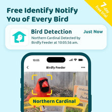 Load image into Gallery viewer, Solar-Powered Bird Feeder with Camera &amp; Motion Detection for Bird Enthusiasts
