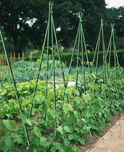 Load image into Gallery viewer, Lightweight 3ft Fiberglass Plant Support Stakes - 50-Pack for Easy Gardening