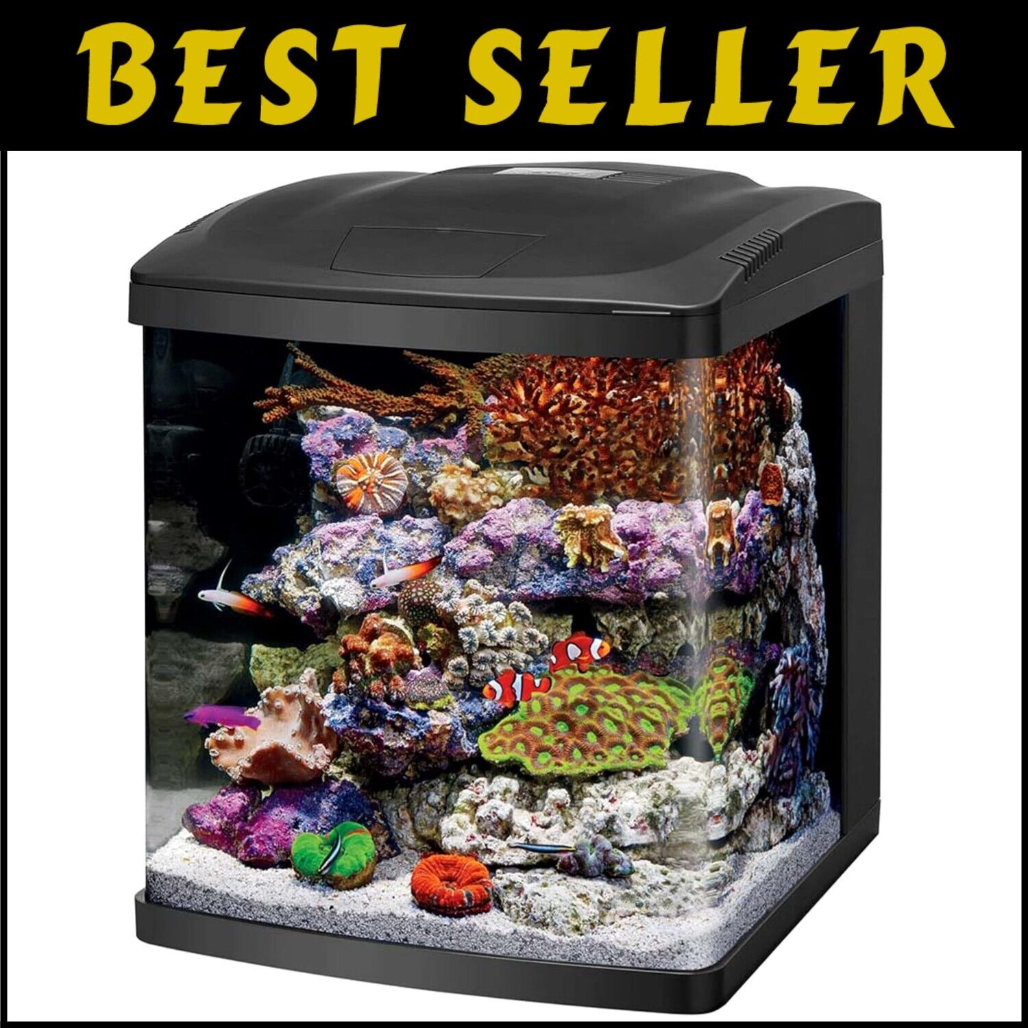 Sleek 16-Gallon BioCube Aquarium with Integrated LED Lighting Kit - All-in-One