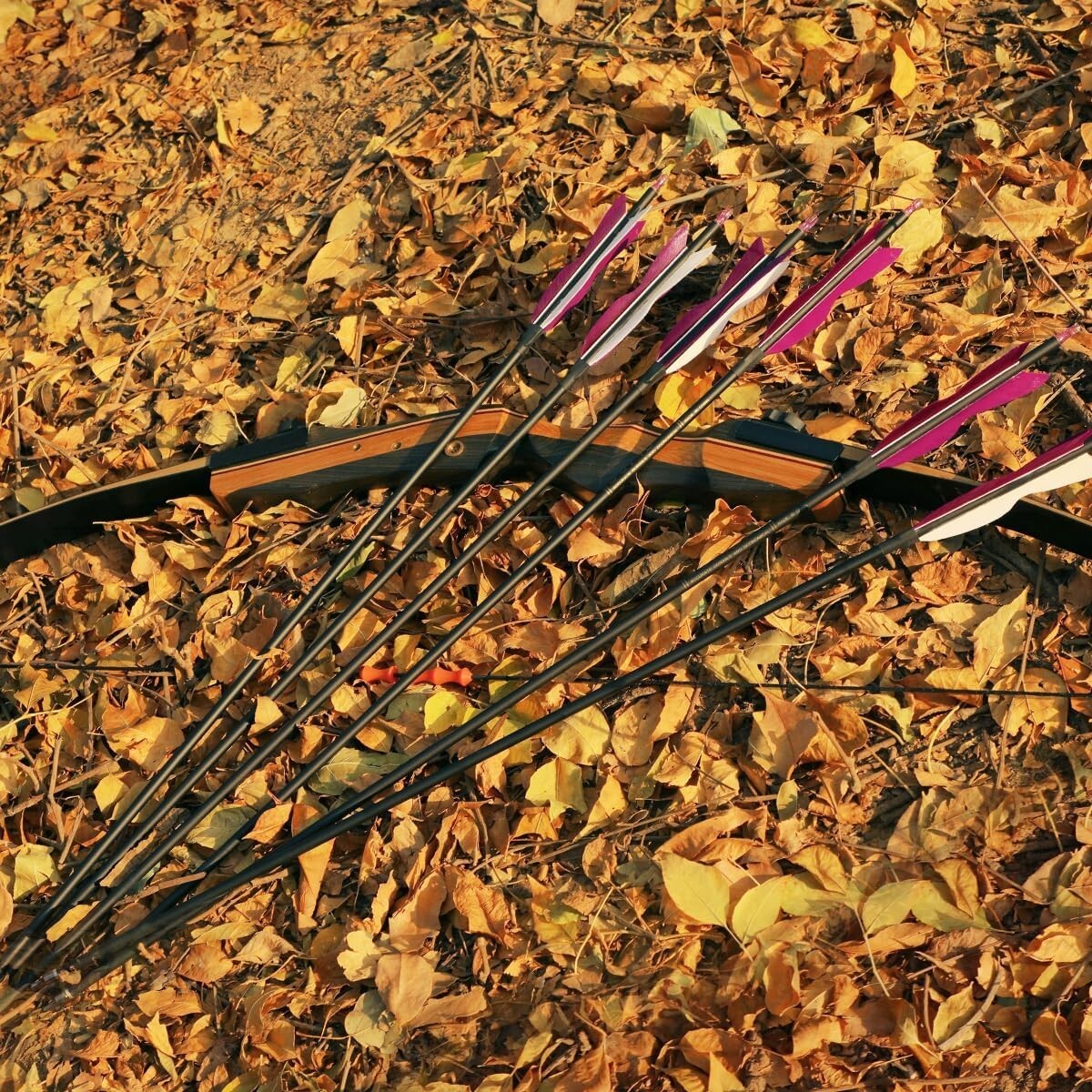 Durable 31" Carbon Arrows with 5" Turkey Feathers for Recurve & Compound Bows