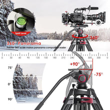 Load image into Gallery viewer, Ultra-Smooth Heavy Duty Tripod Stand for Cameras and Telescopes, 33lbs Capacity