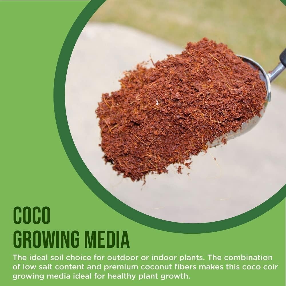 Coconut Coir for Plants – 10 lb Brick Pack for Indoor & Outdoor Gardening Needs