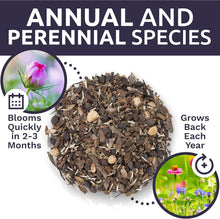 Load image into Gallery viewer, Bulk Wildflower Seed Mix for Butterflies &amp; Hummingbirds - 5 Pounds Fresh Seeds