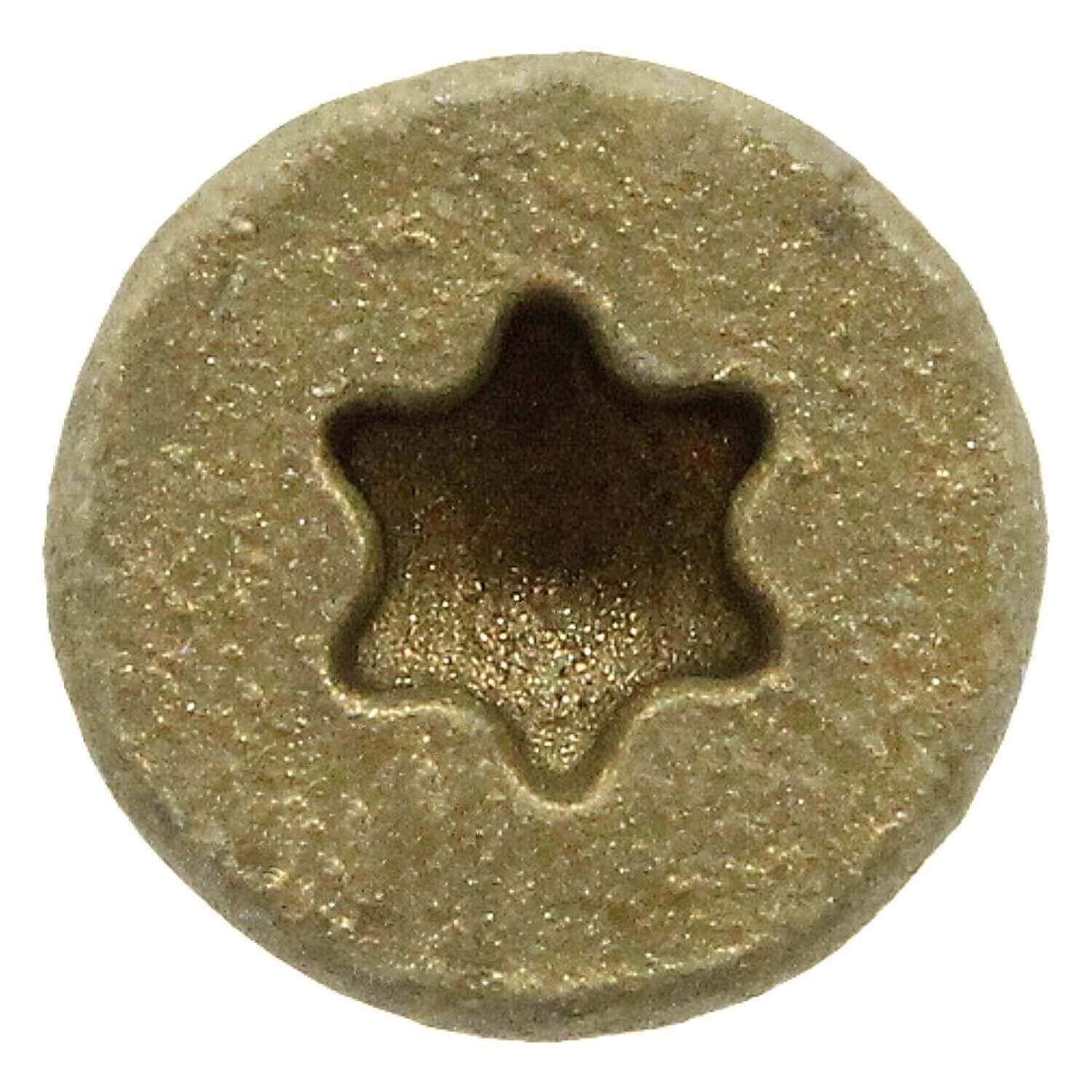 Bronze-Coated Torx Drive Wood Screws - 395 Count, Rust & Corrosion Resistant