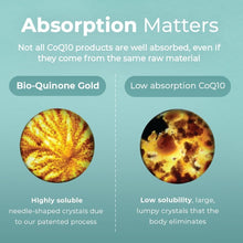 Load image into Gallery viewer, The Original 100mg CoQ10 Softgels – Essential Antioxidant for Energy &amp; Fertility
