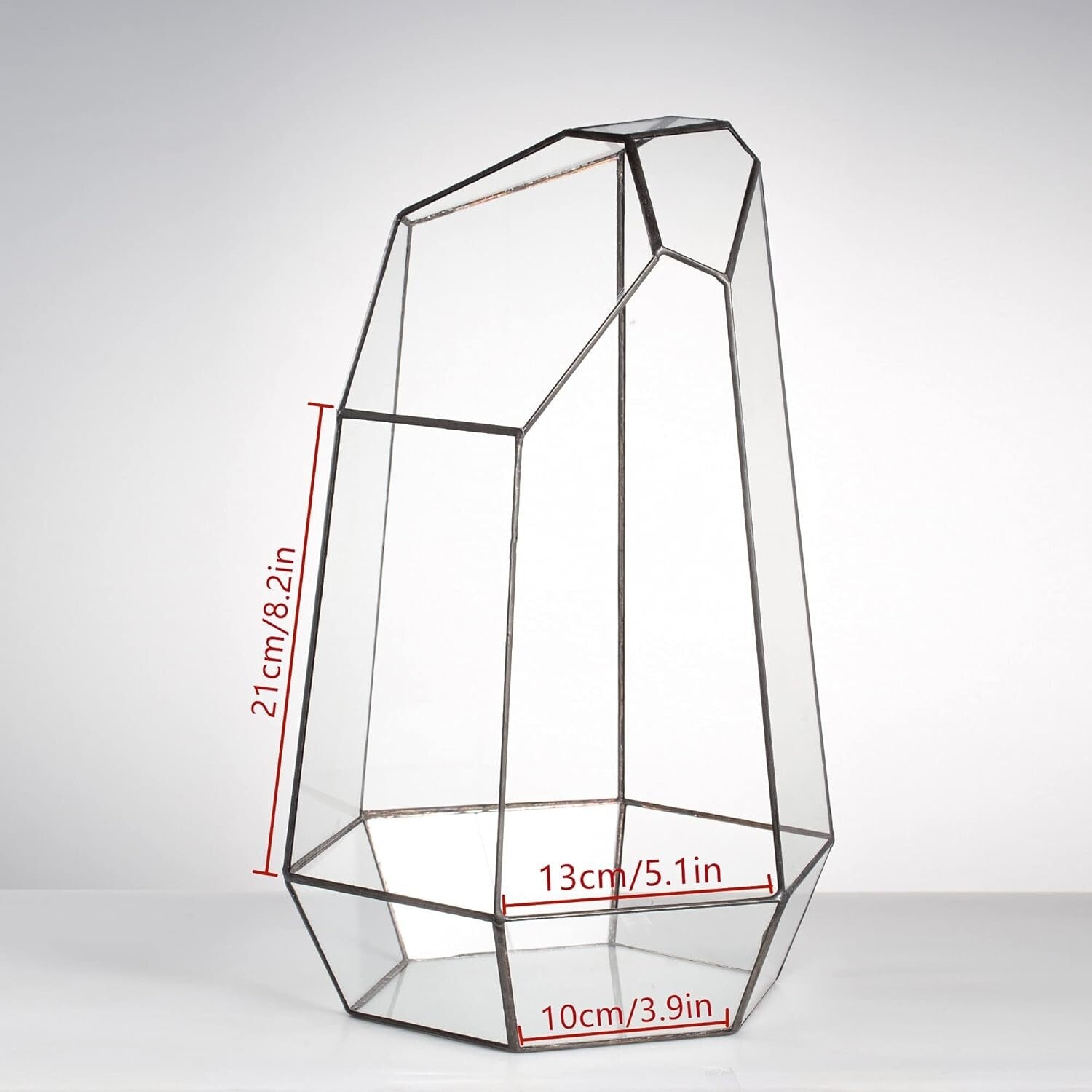 Eco-Friendly Large 16-Inch Terrarium - Irregular Shape for Unique Plant Displays