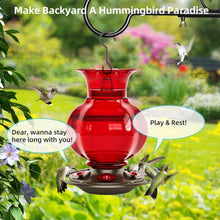 Load image into Gallery viewer, Durable 23oz Outdoor Hanging Hummingbird Feeder - Leak-Proof &amp; Rustproof, 2-Pack
