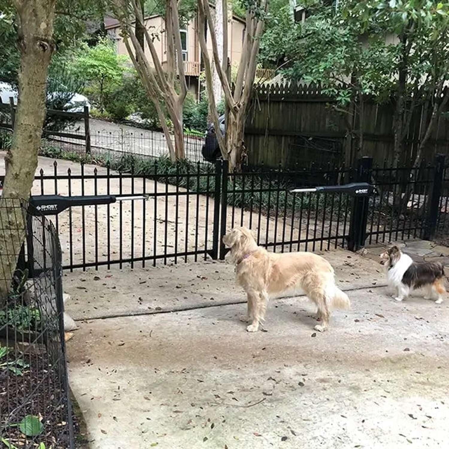 Heavy-Duty Dual Swing Gate Opener Kit with Long-Range Remote - 300 lb Capacity