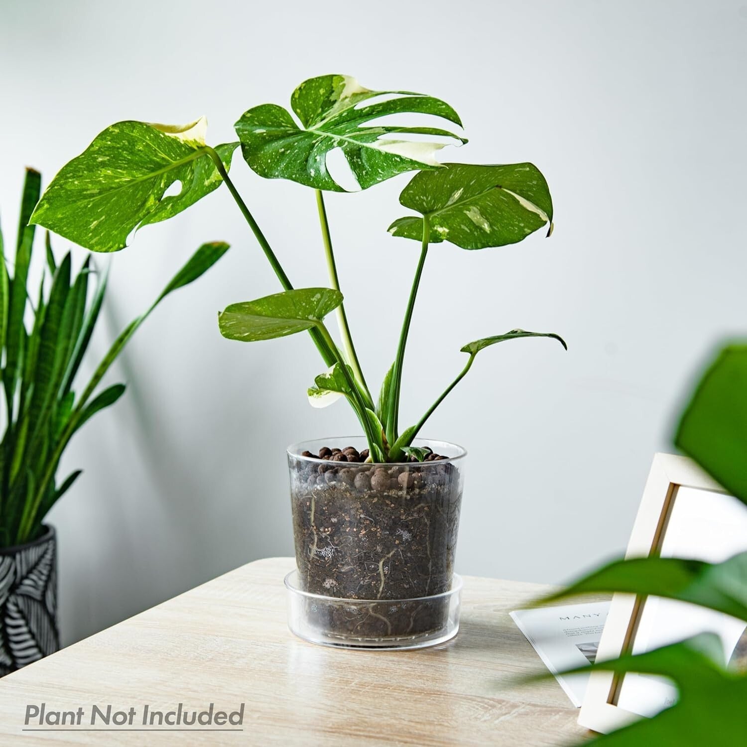 Durable Acrylic Orchid Pots with Drainage Holes - Clear 6.5 Inch Planter Set