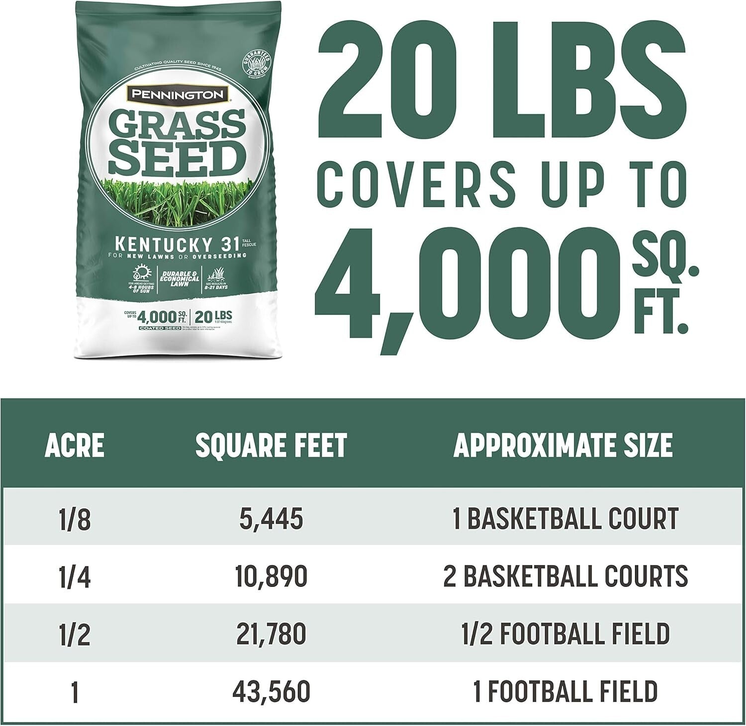 Kentucky 31 Tall Fescue Grass Seed 20 lb - Durable Lawn Solution for 4,000 sq ft