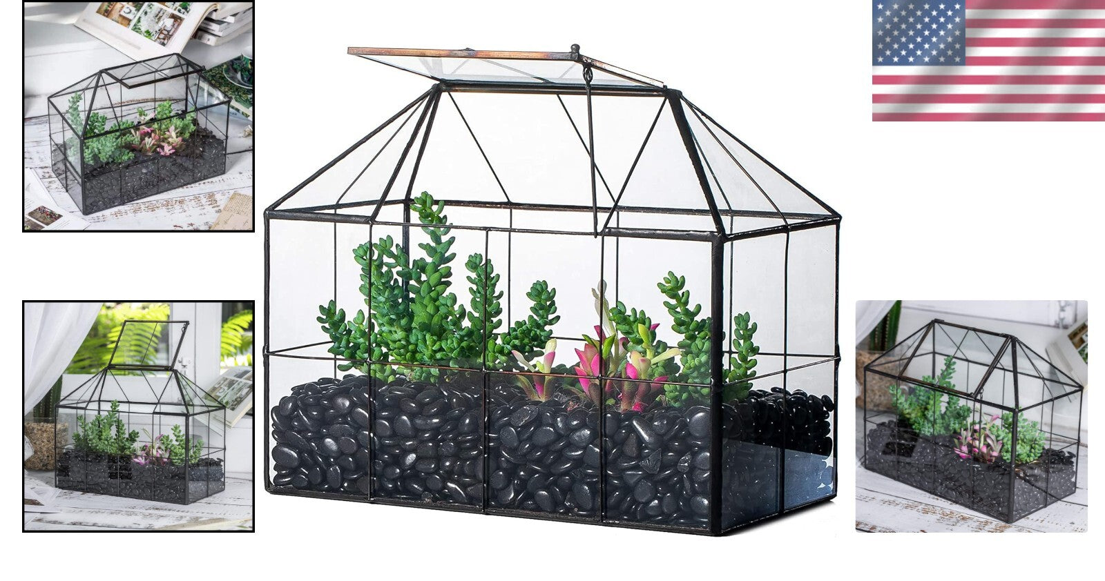 9.84 x 5.31 x 7.87 Black Glass Terrarium - Perfect for Indoor Cacti & Succulents