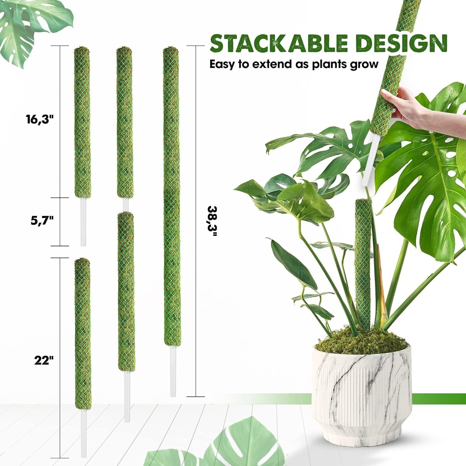 Elegant 22'' Indoor Plant Stakes - Stackable Support Poles for Climbing Plants