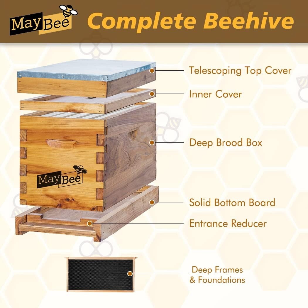Elegant 5-Frame Beehive with Waterproof Metal Roof – Perfect for New Beekeepers