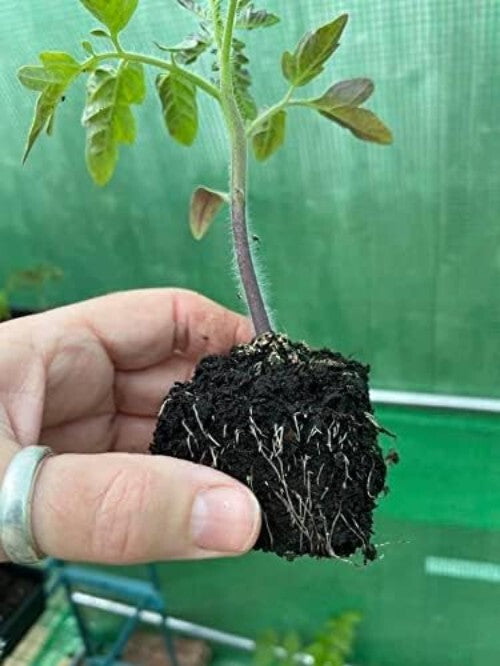 Authentic Mini 4 Hand-Held Soil Block Maker - Eco-Friendly Gardening Tool