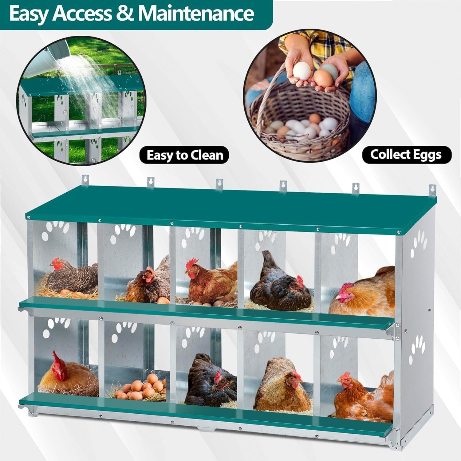 Safe & Easy Access 10 Compartment Chicken Nesting Box for Optimal Production