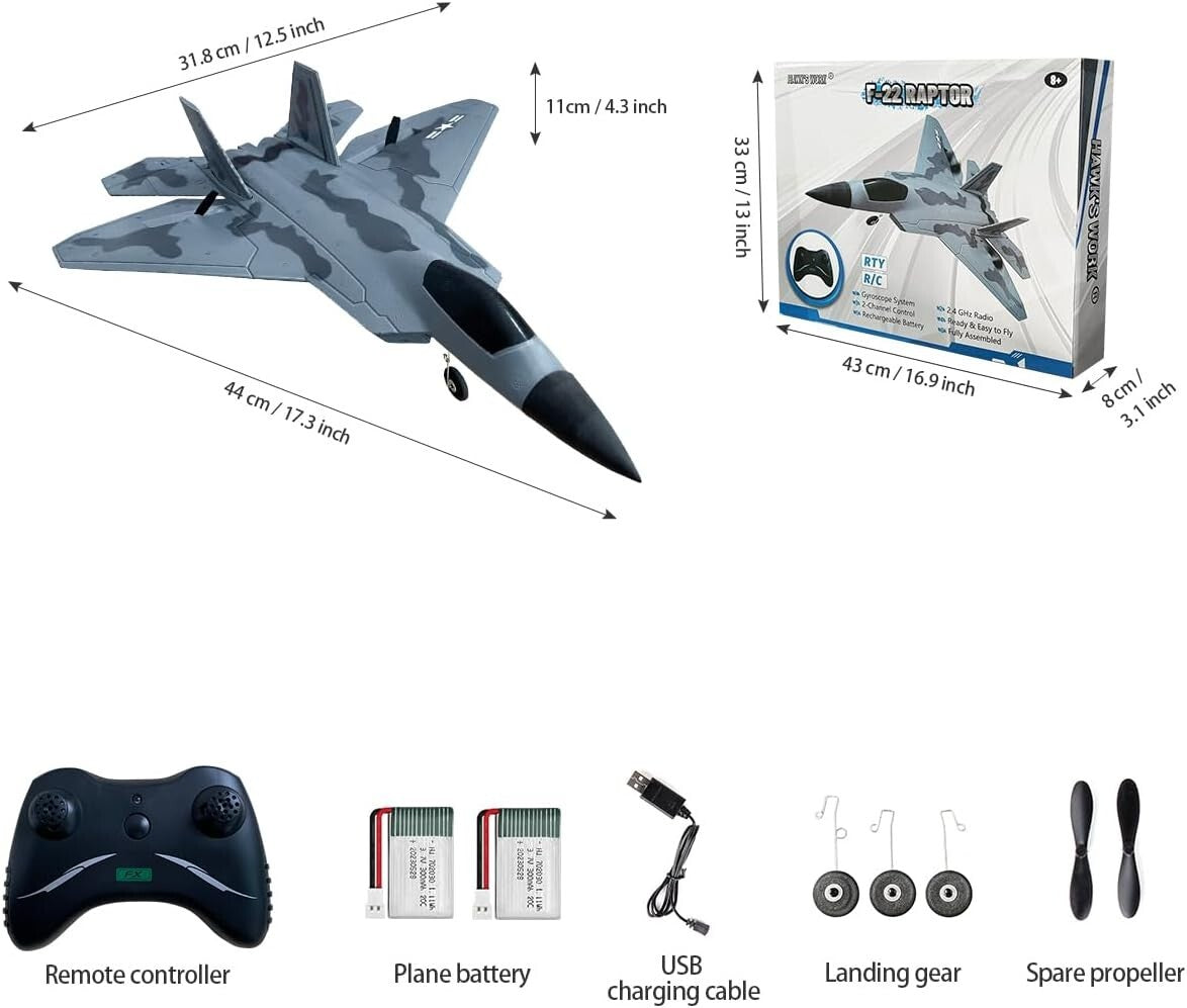 Beginner-Friendly 2 CH F-22 RC Airplane - Ready to Fly with 2.4GHz Control