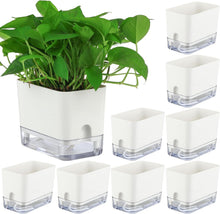 Load image into Gallery viewer, Elegant 7-Inch Self-Watering Pots for Indoor Plants – 8 Pack with Drainage Holes