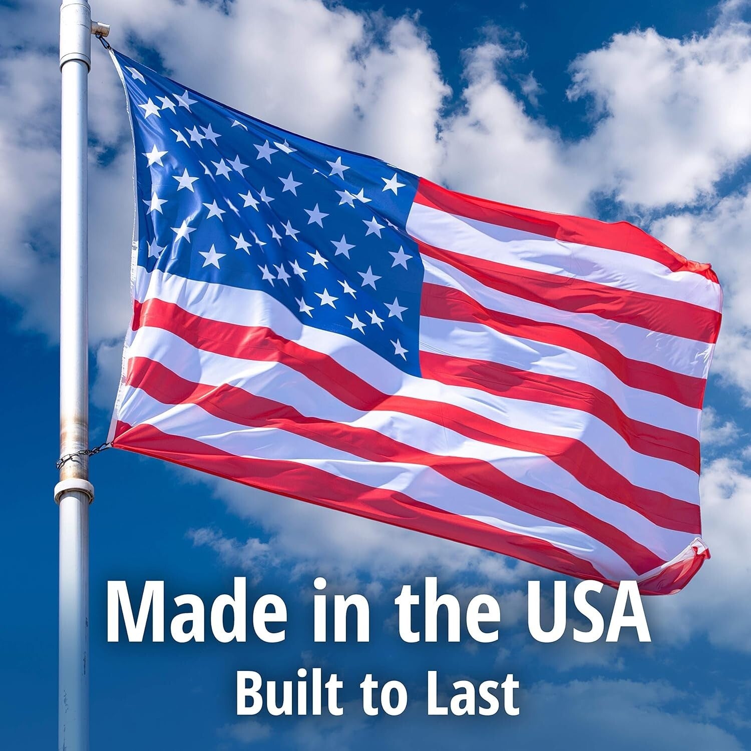 Professional Quality 1-Door Humane Animal Trap - Safe for Cats, Raccoons & More