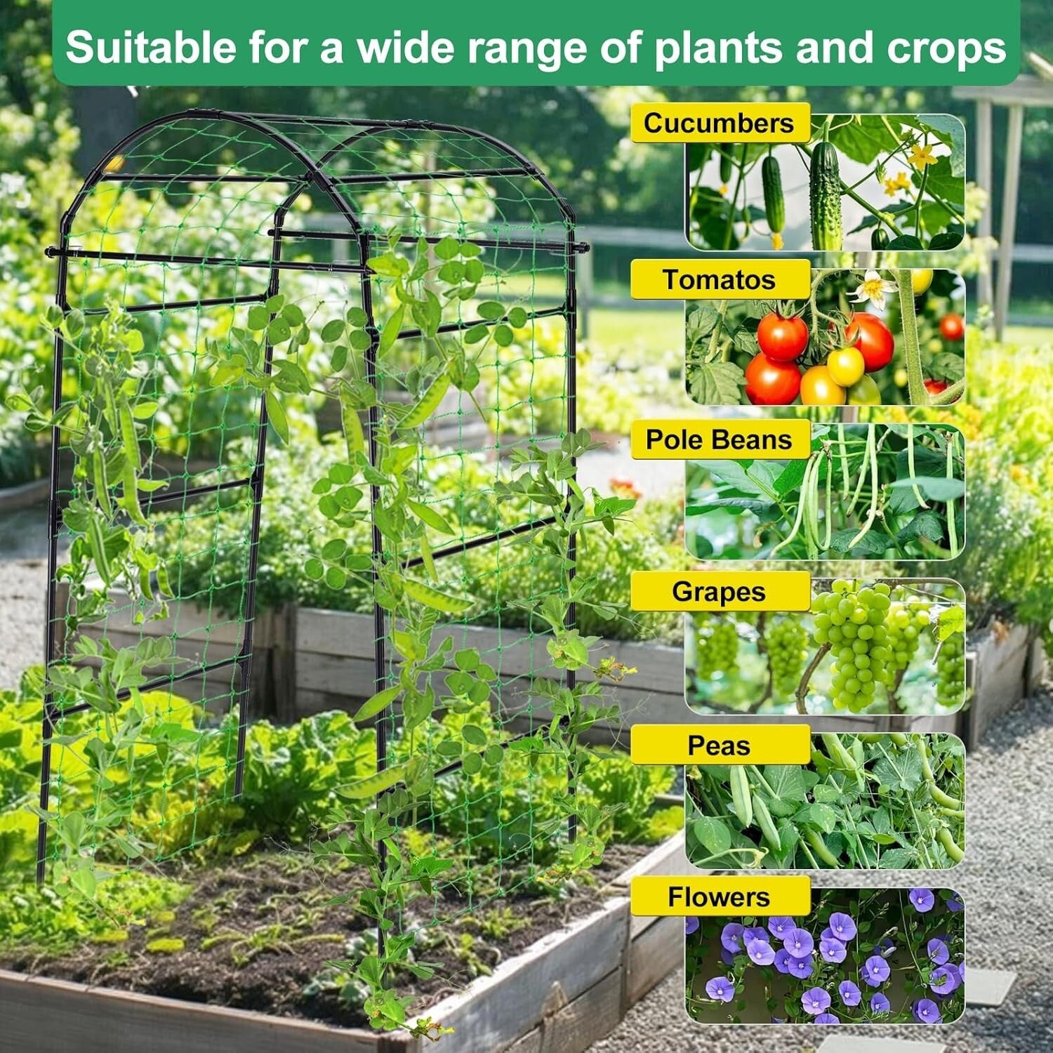 6.7ft Stylish Garden Arch Trellis for Climbing Plants - Durable Black Support