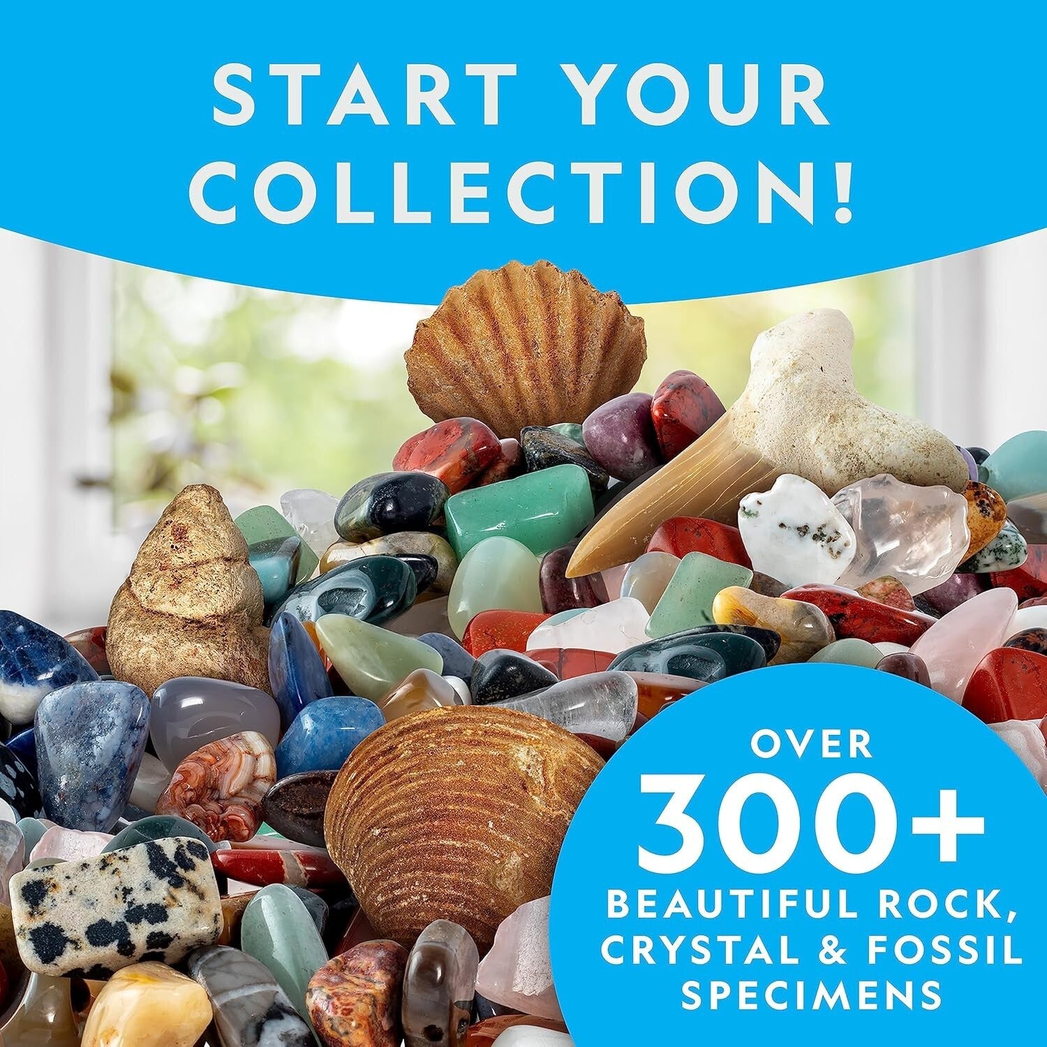 National Geographic 300-Piece Rock Collection with Real Fossils & Book for Kids