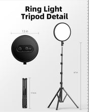 Load image into Gallery viewer, 6500K Ring Light with 72'' Tripod and Remote for Live Streaming &amp; Photography