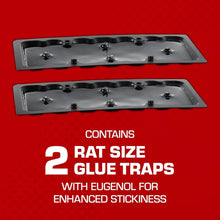 Load image into Gallery viewer, Pesticide-Free Glue Traps with Eugenol - 12-Pack for Effective Pest Control