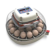 Load image into Gallery viewer, Automatic Egg Incubator for Chickens &amp; Ducks - Holds 12-22 Eggs with 360° View