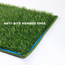 Load image into Gallery viewer, Spacious Indoor-Outdoor Dog Toilet: Ultra-Absorbent Grass Pad for Large Breeds