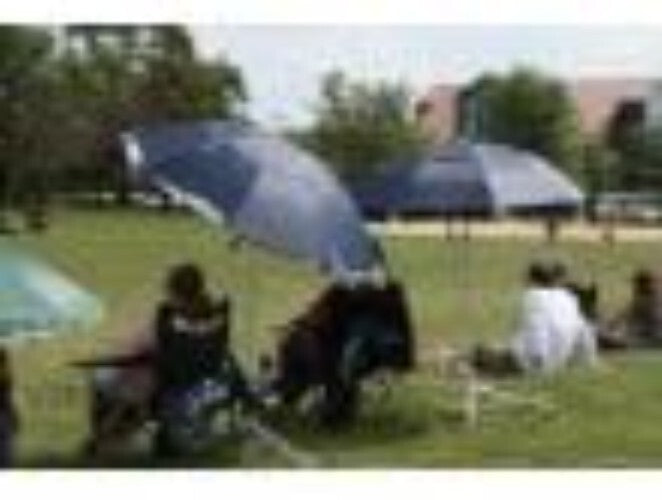 Lightweight Outdoor Sunshade Umbrella with Durable Aluminum Frame - Blue