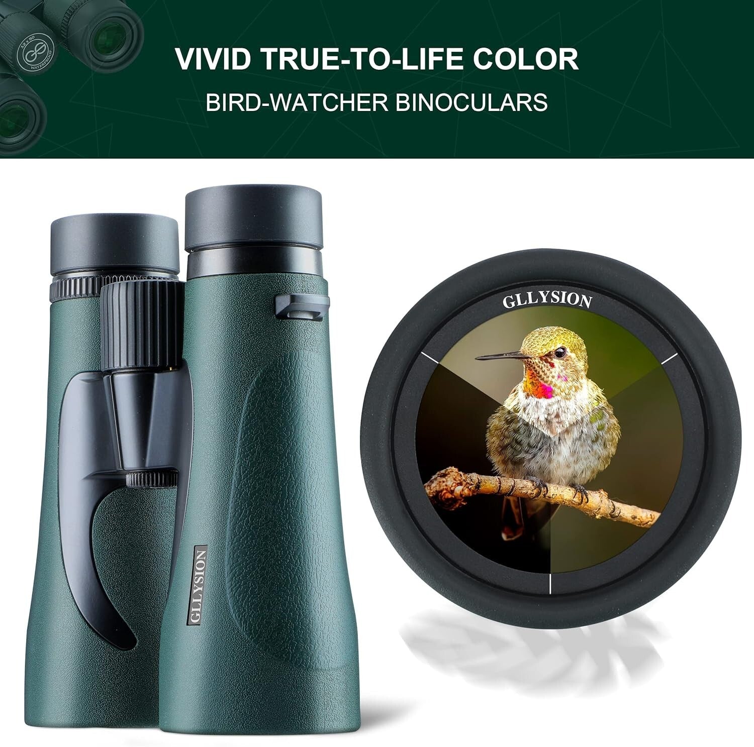 Professional 10X42 Lightweight Binoculars with Phone Adapter for Nature Lovers
