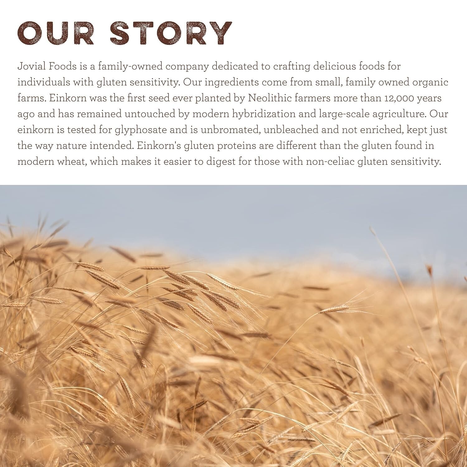 Unbleached Organic Einkorn Flour for Sourdough, Pizza, and Pasta – High Protein