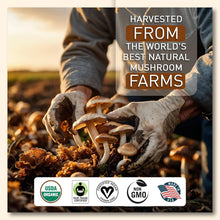 Load image into Gallery viewer, Nourish Your Mind with Organic Mushroom Coffee - 120 Servings of Superfoods