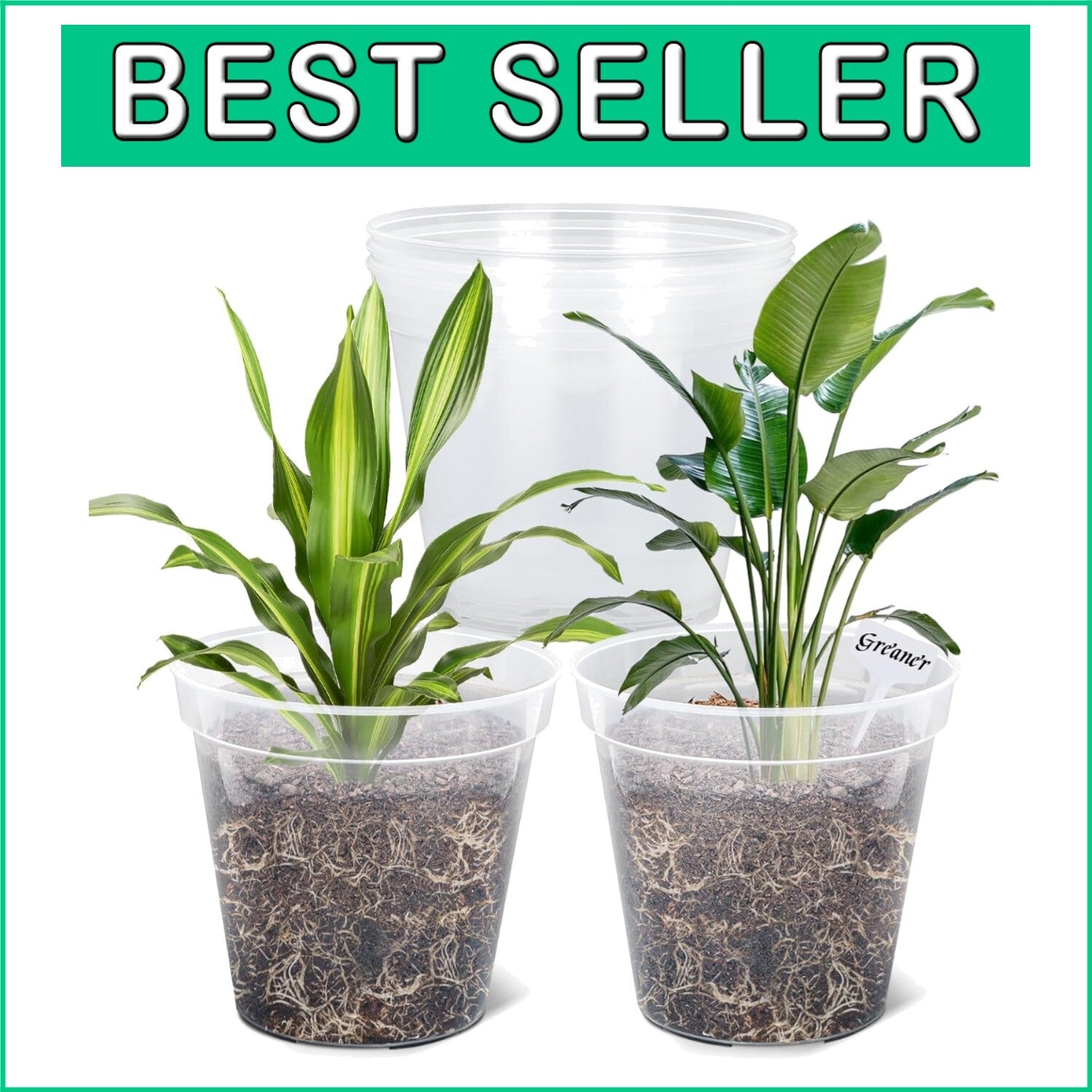 5-Pack Durable Clear Plastic Planters - 12-Inch with Drainage for Plant Growth