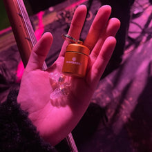 Load image into Gallery viewer, Noise-Cancelling Earplugs with Gold Filters - Perfect for Concerts &amp; Raves