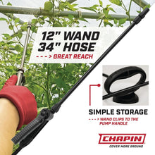 Load image into Gallery viewer, Chapin 2-Pack 2-Gallon Lawn &amp; Garden Sprayer with Anti-Clog Filter - White