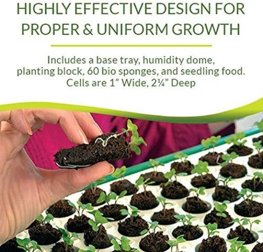 Lightweight Bio Dome Seed Starter with 60 Bio Sponges for Easy Transplanting