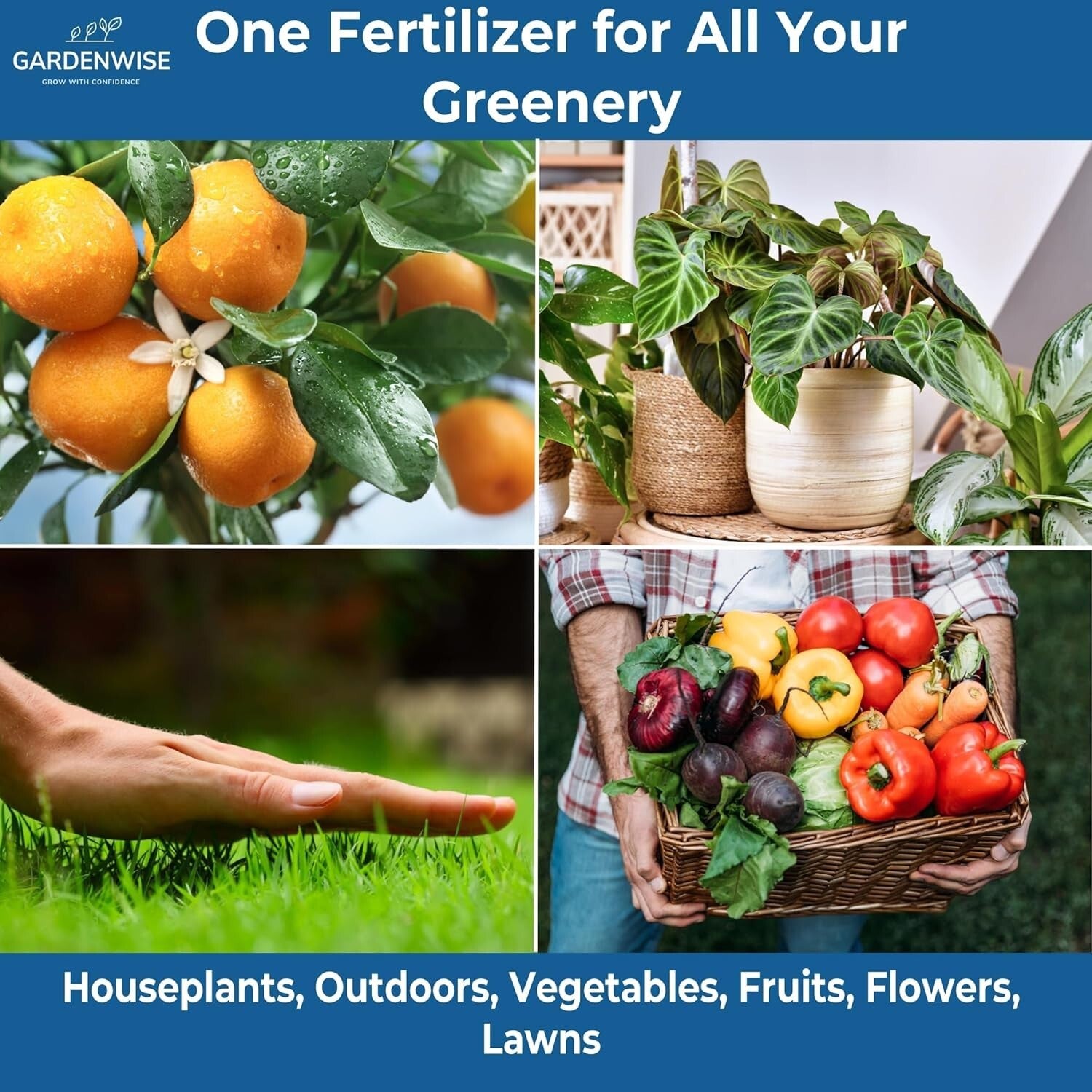 Universal 20-20-20 Water-Soluble Fertilizer - Ideal for All Plants, 4 Quarts