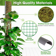 Load image into Gallery viewer, 59'' D-Shape Moss Pole for Climbing Plants - Durable Indoor Plant Support