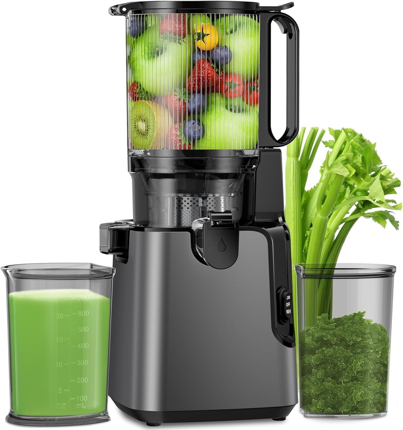 Professional Slow Masticating Juicer with Dual Strainers for Maximum Juice Yield