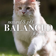 Load image into Gallery viewer, Cruelty-Free 6pk Waterless Cat Grooming Spray - Nourishing with Shea Butter